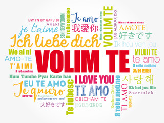 Volim te, I Love You in Croatian, word cloud in different languages of the world