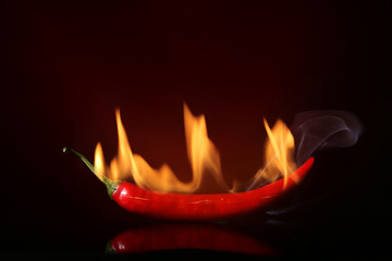 Red hot chili pepper with fire on dark color background