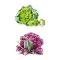 Different fresh cauliflower cabbages on white background