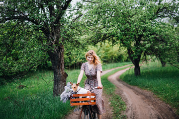 girl blonde in a dress carries jack russell terrier in a basket on a bicycle