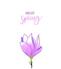 Fototapeta na wymiar Hello spring calligraphy text and hand drawn magnolia flower