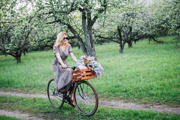 girl blonde in a dress and glasses rides a bicycle with a basket with a dog and flowers