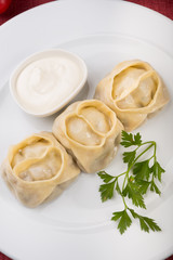 Asian manty dish stuffed with meat