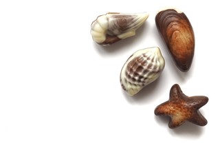 Chocolate pralines isolated on white background