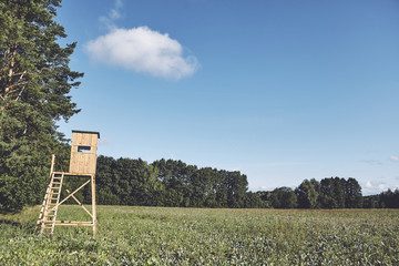 Wooden deer hunting platform on the edge of a forest, color toning applied.