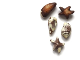 Chocolate pralines isolated on white background