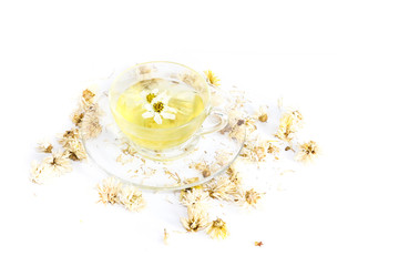 Chrysanthemum  tea hot Close up
