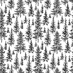 vector background of the fir forest sketches