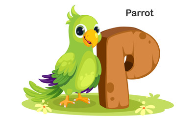 P for Parrot