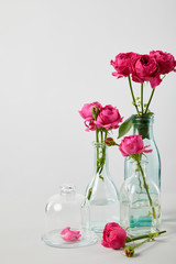 fresh pink roses in transparent bottles isolated on white with copy space