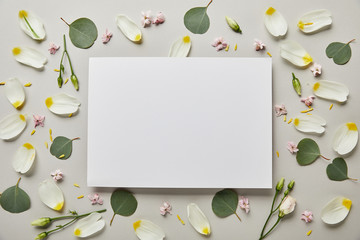top view of blank white card with leaves and petals isolated on grey