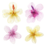 Set of tropical flowers and green palm leaves. Exotic and jungle trendy style. Hand drawn watercolor illustration. Exotic hawaiian summer clipar tfor print, printing on paper, fabric.Isolated on white