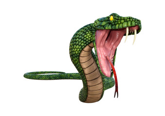 3D Rendering Giant Fantasy Snake on White