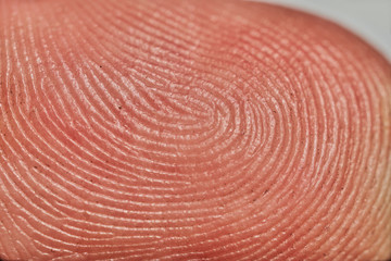 close up macro image of a human finger.