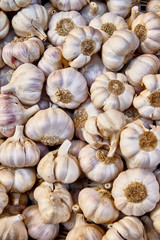 Freshly picked garlic on market