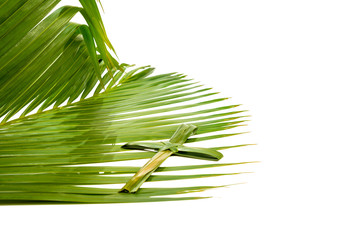 Palm Sunday concept