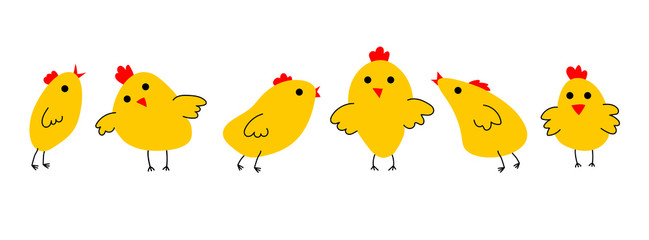 Chicken set
