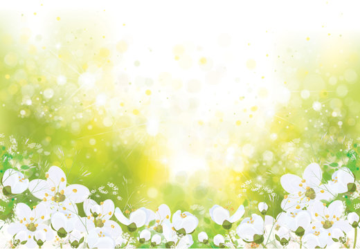 Vector spring floral background.