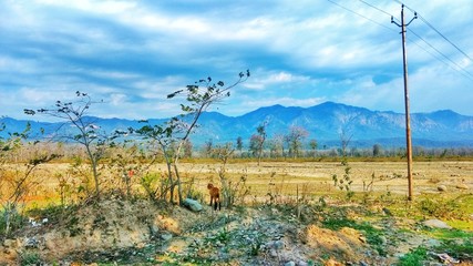 moutains, nature, 