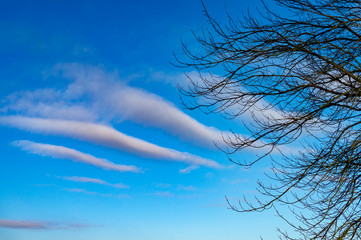 Interesting horse or mares tail cloud formations
