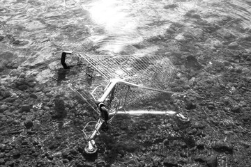 abandoned shopping cart on the sea floor