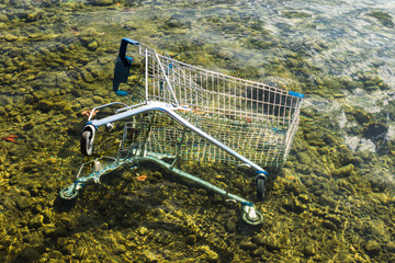 abandoned shopping cart on the sea floor