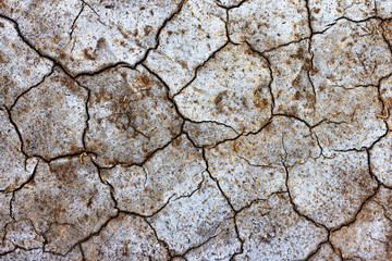 Dry cracked earth in the salt marshes (alkali soils)