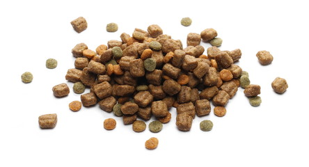 Dry dog food, granules isolated on white background