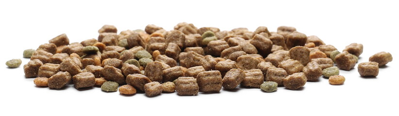 Dry dog food, granules isolated on white background