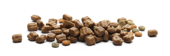 Dry dog food, granules isolated on white background