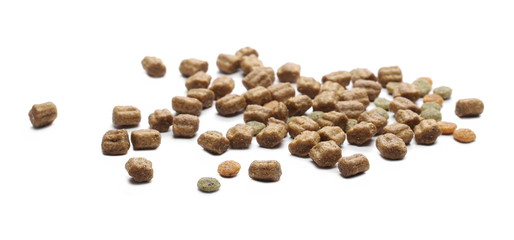 Dry dog food, granules isolated on white background