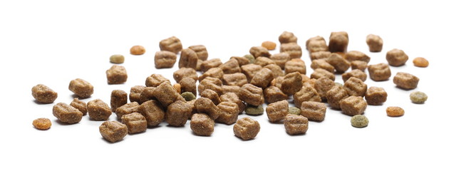 Dry dog food, granules isolated on white background