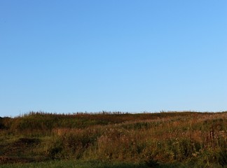 Obraz premium field and sky