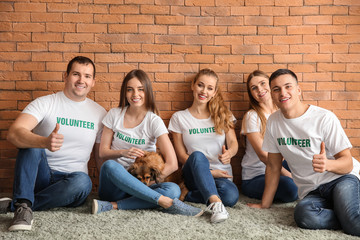 Team of young volunteers with dog sitting near brick wall