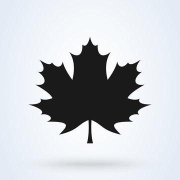 Maple leaf vector icon. flat maple leaf icon isolated on white