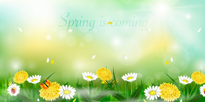 Spring is coming