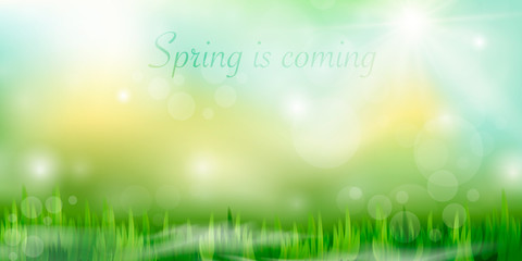 Fototapeta na wymiar Spring is coming