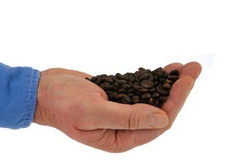 Grains de café torréfiés dans la main 