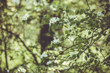 bird on a branch