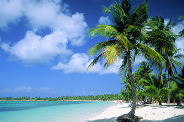 strand in der dominikanische republik