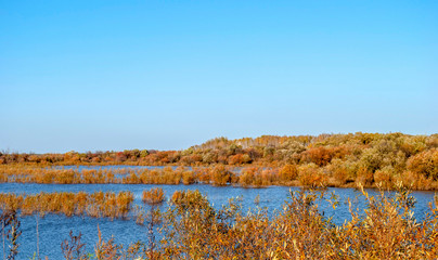 Russia. Far East. Autumn landscape. Lake view