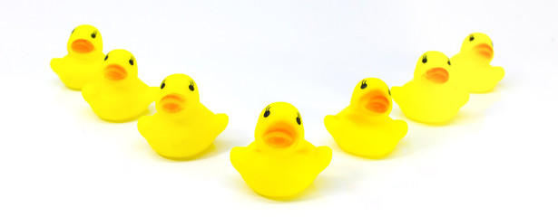 Yellow rubber toy ducks isolated on white background.