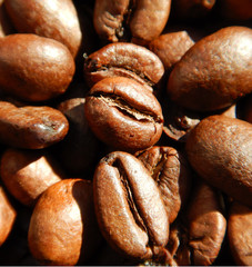 roasted coffee beans
