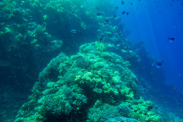 Naklejka na ściany i meble Blue Deep Seabed Underwater Background