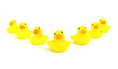 Company of seven yellow rubber toy ducklings isolated on white background.