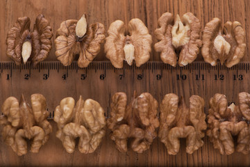 Fototapeta premium Top close up view of group of large dried ukranian russian peeled Walnut kernels with centimeter ruler in on rustic wooden background