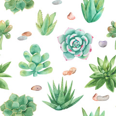 Watercolor seamless pattern with compositions of succulents, flowers. Texture for wallpaper, fabric, textiles, packaging, scrapbooking, wedding.
