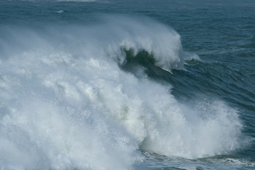 snapshot of a wave breaking in the sea