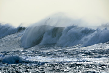 snapshot of a wave breaking in the sea