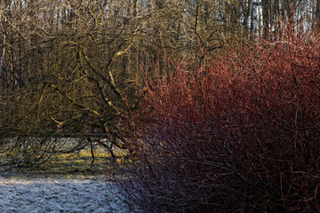 Jesień w Parku Śląskim © Miroslaw